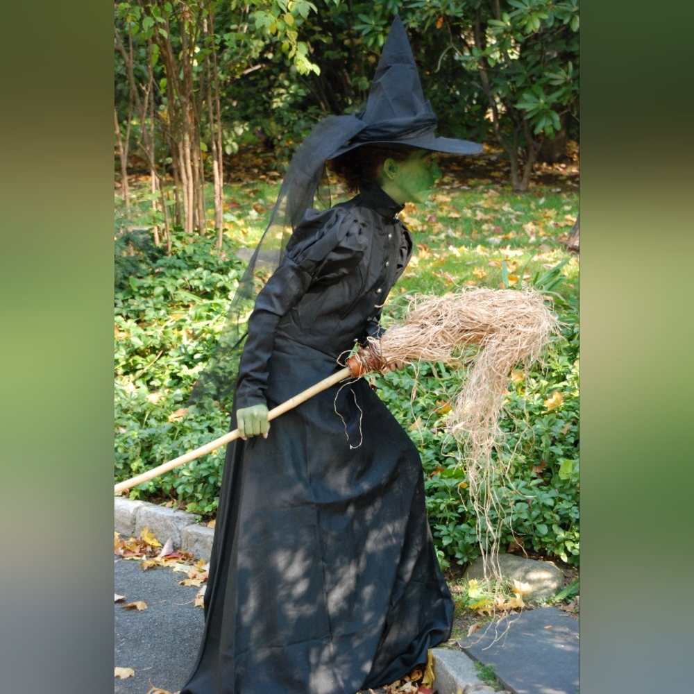 Black Wicked Witch Costume with Hat and Veil - Wizard Of Oz - Picture 7 of 9